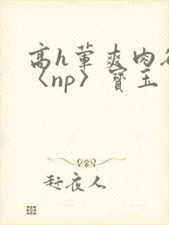 高h荤爽肉欲文〈np〉宝玉封面