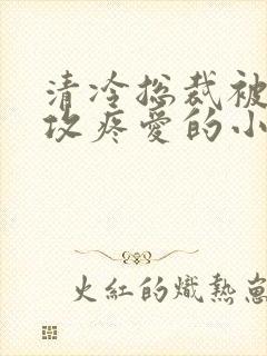 清冷总裁被丑老攻疼爱的小说