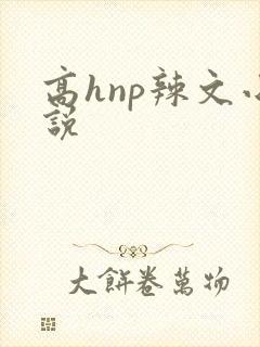 高hnp辣文小说