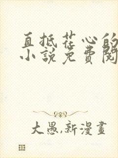 直抵花心的女人小说免费阅读全文封面