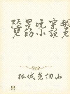 陆星晚穿越成婴儿的小说免费阅读全文