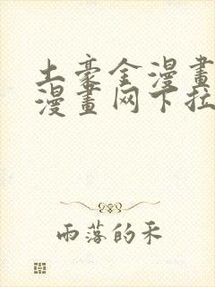 土豪金漫画免费漫画网下拉式