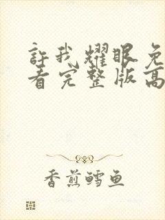 许我耀眼免费观看完整版高清电视剧