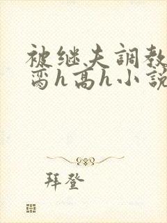 被继夫调教成禁脔h高h小说封面