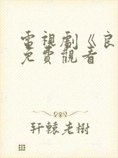 电视剧《良心》免费观看