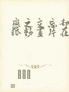 恋之交忘却の妖狐动画片在哪里看