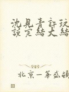 沈见青许玟玟小说完结大结局了吗