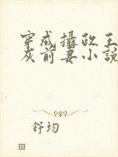 穿成摄政王的炮灰前妻小说封面