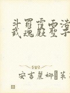 斗罗霍雨浩成为武魂殿圣子