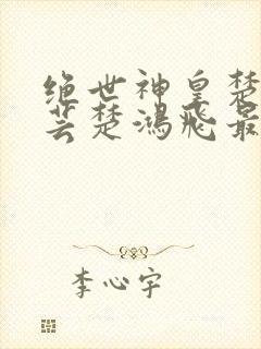 绝世神皇楚风楚芸楚鸿飞最新章节