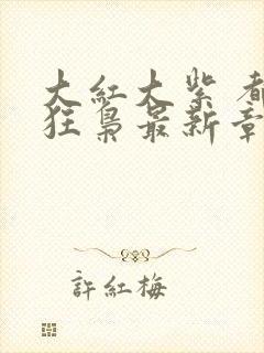 大红大紫 都市狂枭最新章节