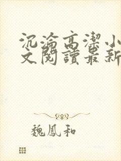 沉沦高洁小说全文阅读最新章节更新封面