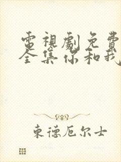 电视剧免费观看全集你和我的倾城时光