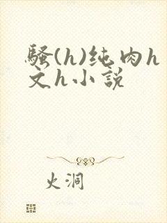 骚(h)纯肉h文h小说