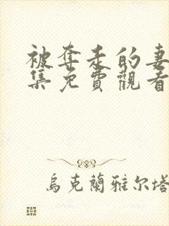 被夺走的妻子全集免费观看完整版