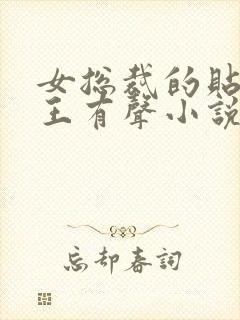 女总裁的贴身兵王有声小说免费听