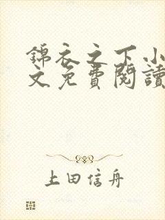 锦衣之下小说全文免费阅读无弹窗