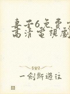 妻子6免费完整高清电视剧在线观看封面