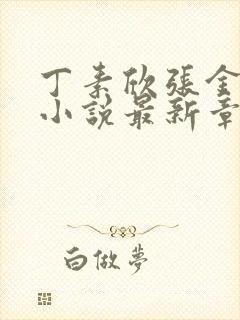 丁素欣张金良的小说最新章节更新内