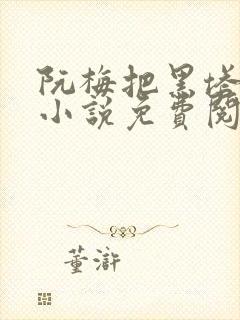 阮梅把黑塔囚禁小说免费阅读封面