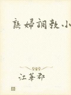 熟妇调教小说封面