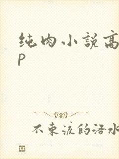 纯肉小说高hnp封面