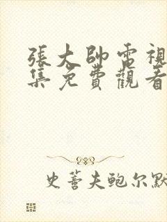 张大帅电视剧全集免费观看高清