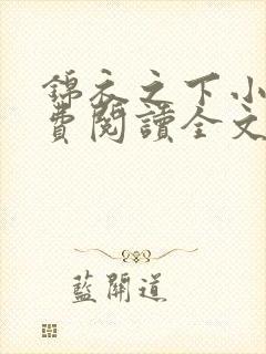 锦衣之下小说免费阅读全文无删减