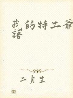 我的特工爷爷国语
