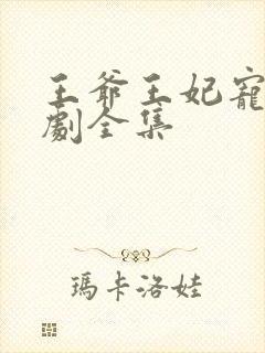 王爷王妃宠妻短剧全集封面