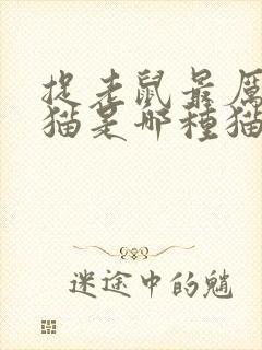 捉老鼠最厉害的猫是哪种猫