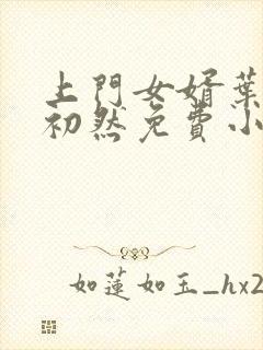 上门女婿叶辰萧初然免费小说