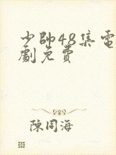 少帅48集电视剧免费