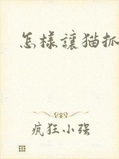 怎样让猫抓老鼠