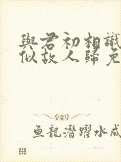与君初相识,恰似故人归免费观看