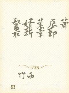 赘婿叶辰萧初然最新章节