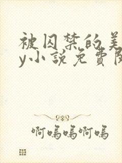 被囚禁的美人by小说免费阅读