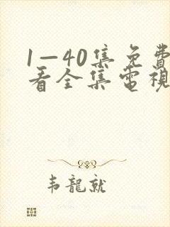 1—40集免费看全集电视剧封面