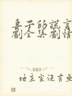 妻子的谎言电视剧全集剧情免费