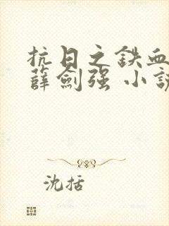 抗日之铁血战魂薛剑强 小说