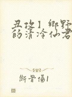 丑攻】乡野雌堕的清冷仙君