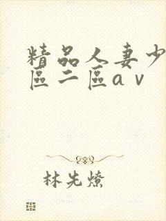 精品人妻少妇一区二区aⅴ