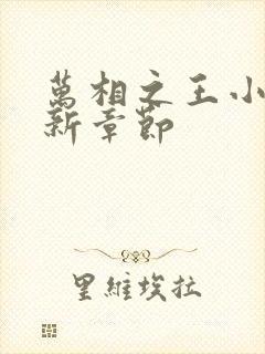 万相之王小说最新章节