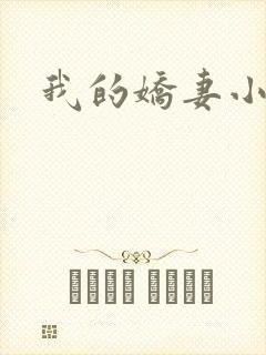 我的娇妻小说