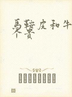 马鞍皮和牛皮哪个贵封面