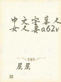 中文字幕人妻熟女人妻a62v网址