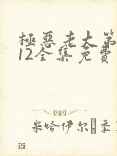 极恶老大第二季12全集免费观看