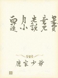 白月光竟是黑心莲小说免费阅读封面