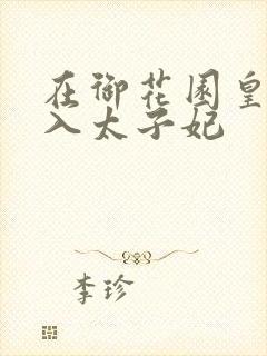 在御花园皇上进入太子妃封面