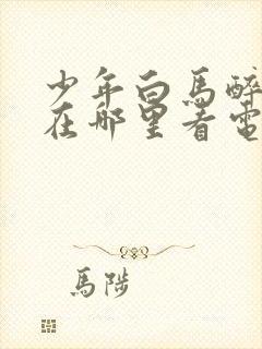 少年白马醉春风在哪里看电视剧